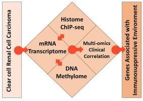 Integrative epigenome-transcriptome analysis unravels cancer-specific over-expressed genes potentially regulating immune microenvironment in clear cell renal cell carcinoma