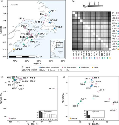 Adaptation to seasonal reproduction and environment-associated factors drive temporal and spatial differentiation in northwest Atlantic herring despite gene flow