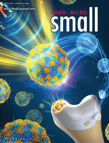Using Decellularized Magnetic Microrobots to Deliver Functional Cells for Cartilage Regeneration (Small 11/2024)