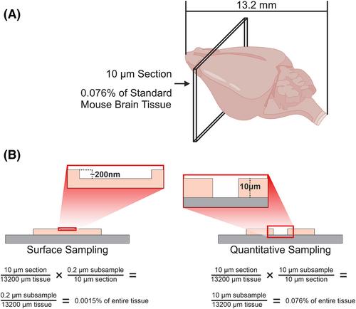 Quantitative mass spectrometry imaging (qMSI): A tutorial