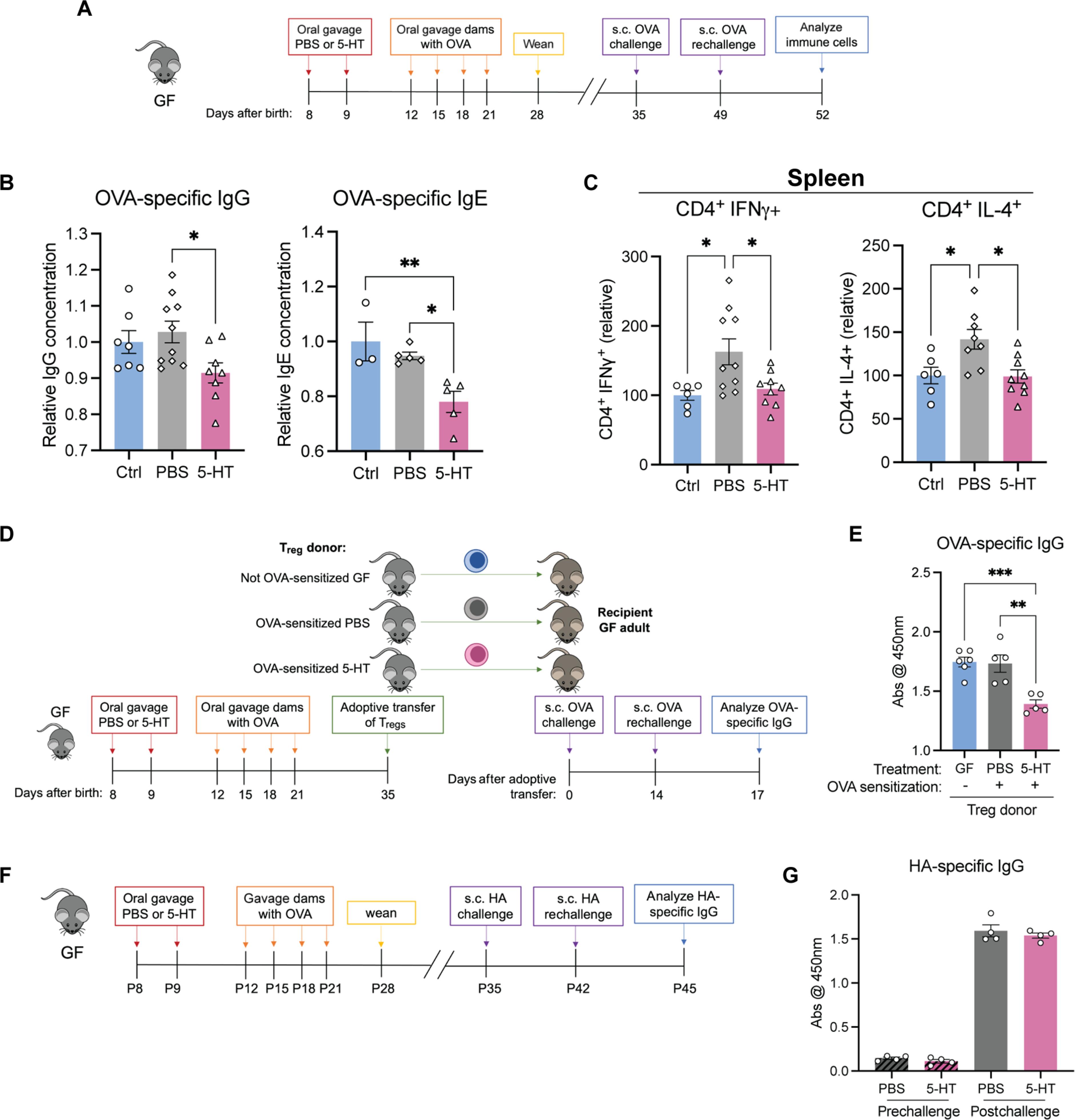 Gut bacteria–derived serotonin promotes immune tolerance in early life