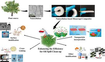 Trends in enhancing the efficiency of biomass-based aerogels for oil spill clean-up