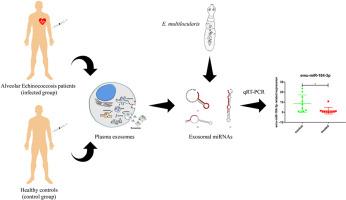 Molecular analyses of exosome-derived miRNAs revealed reduced expression of miR-184-3p and decreased exosome concentration in patients with alveolar echinococcosis