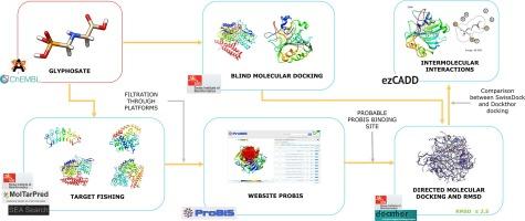 Identification of potential human targets of glyphosate using in silico target fishing