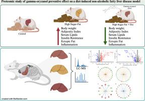 Proteomic study of gamma-oryzanol preventive effect on a diet-induced non-alcoholic fatty liver disease model