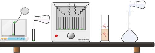 Advanced review of the contributing factors for the Microwave Digestion of food matrices for trace elemental analysis