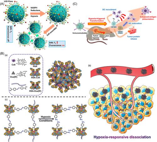 Advances and applications of nanoparticles in cancer therapy