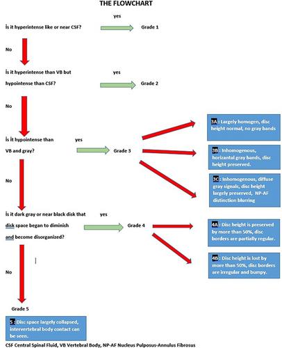 Tracing the disc: The novel qualitative morphometric MRI based disc degeneration classification system