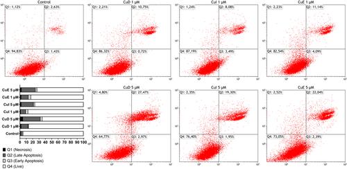 Investigation of apoptotic effects of Cucurbitacin D, I, and E mediated by Bax/Bcl-xL, caspase-3/9, and oxidative stress modulators in HepG2 cell line