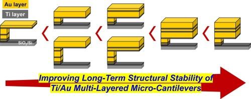 Clarification of Geometric Effects on Long-term Structural Stability of Ti/Au Multi-layered Micro-cantilevers