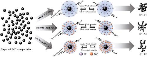 Agglomeration behavior of carbon-supported platinum nanoparticles in catalyst ink: modeling and experimental investigation