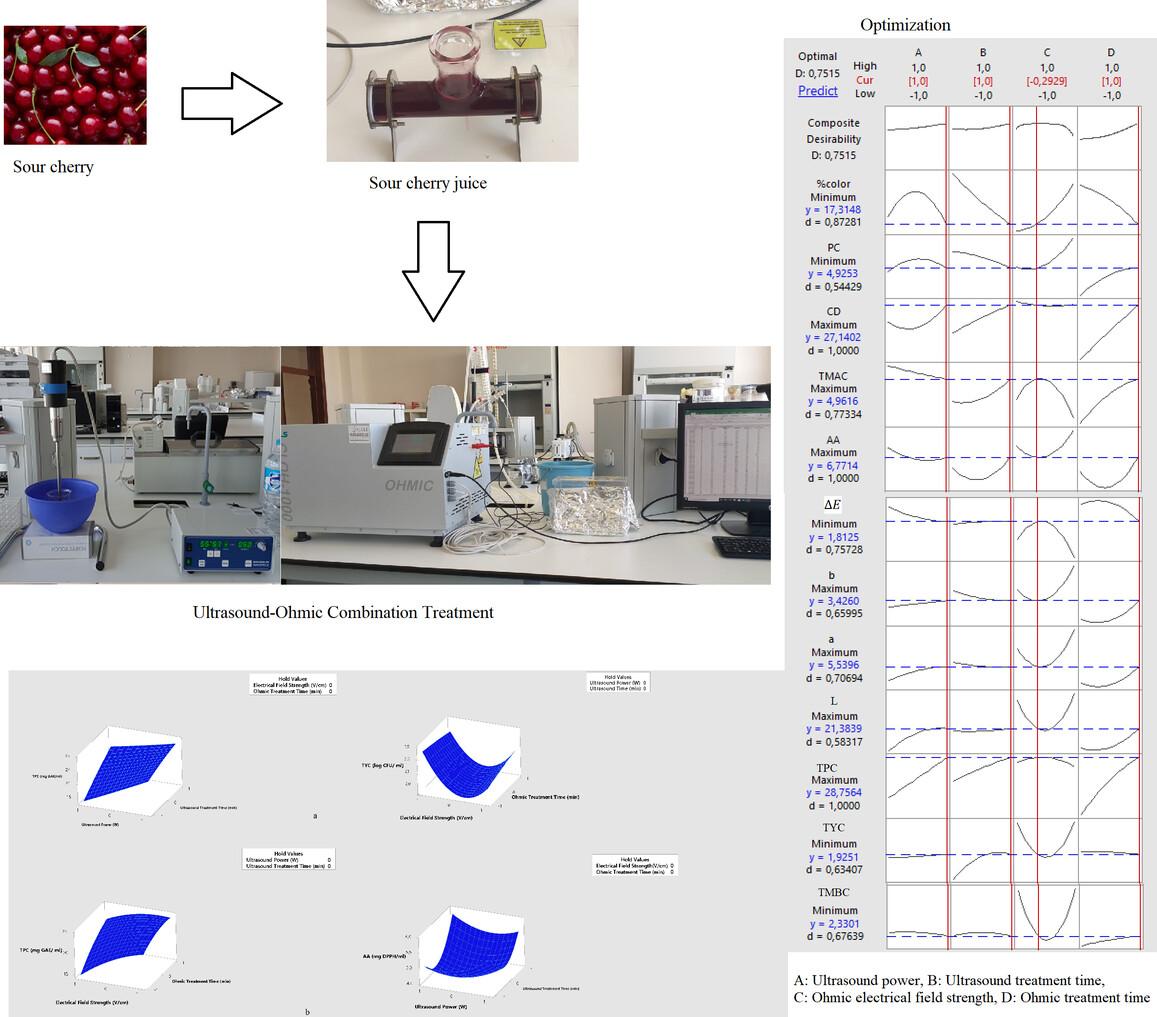 Optimization of minimal thermal treatment conditions for sour cherry (Prunus cerasus L.) juice using ultrasound-ohmic combination treatment