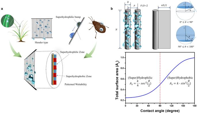 Multifunctional integrated pattern for enhancing fog harvesting water unidirectional transport in a heterogeneous pattern