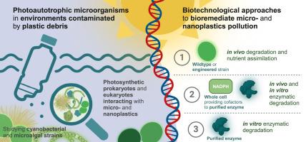 Harnessing photosynthetic microorganisms for enhanced bioremediation of microplastics: A comprehensive review