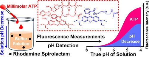 Overlooking pH decrease induced by ATP (or ATP-2Na) results in false positive response of rhodamine spirolactam derivatives to millimolar ATP