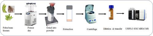 Distribution of Vicine, Convicine and Levodopa in Faba Bean Plant Tissues Determined by UltraHigh Performance Liquid Chromatography-Electrospray Ionization Mass Spectrometry