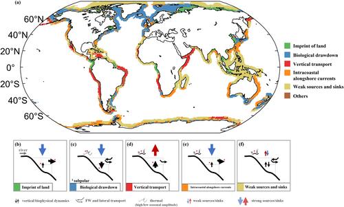 Unraveling the Physical and Biological Controls of the Global Coastal CO2 Sink