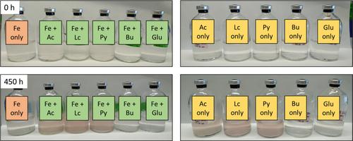 Phototrophic Fe(II) oxidation by Rhodopseudomonas palustris TIE-1 in organic and Fe(II)-rich conditions