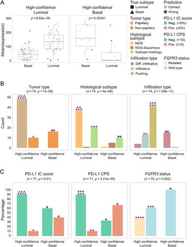 A deep-learning workflow to predict upper tract urothelial carcinoma protein-based subtypes from H&E slides supporting the prioritization of patients for molecular testing