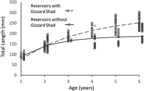 Influence of Gizzard Shad on Black Crappie populations in prairie impoundments of Western South Dakota