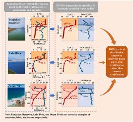 Dissolved organic matter (DOM) is independently stratified in thermally stratified water bodies