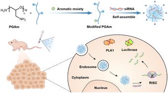 Novel aromatic moieties-modified poly(glycidyl amine)s with potent siRNA delivery and cancer treatment effect†