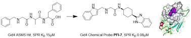 Chemical tools for the Gid4 subunit of the human E3 ligase C-terminal to LisH (CTLH) degradation complex†