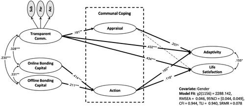 We are sidekicks! Concretizing the antecedents and outcomes of communal coping in the COVID-19 crisis renewal