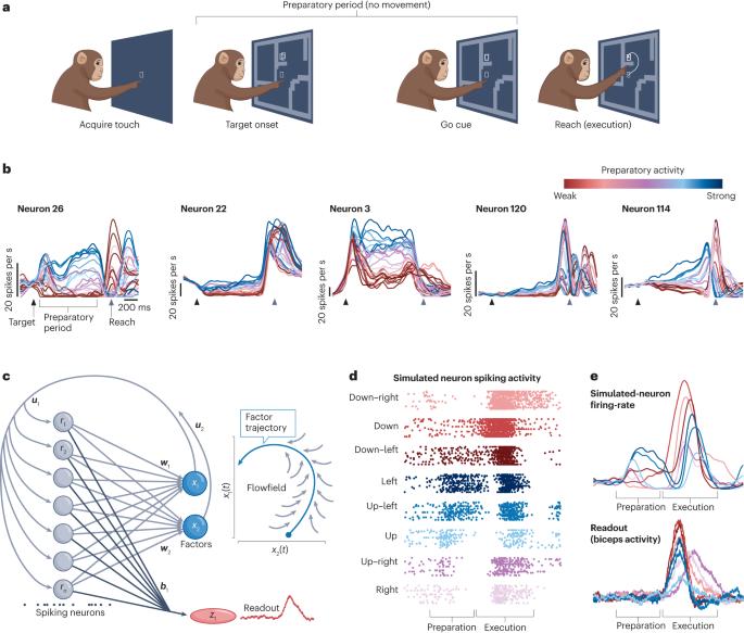 Preparatory activity and the expansive null-space