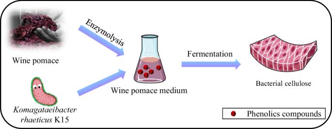 Mechanism of Cr(VI) removal by polyphenols-rich bacterial cellulose gel produced from fermented wine pomace