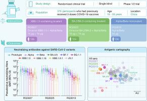 Safety, immunogenicity, and preliminary efficacy of a randomized clinical trial of omicron XBB.1.5-containing bivalent mRNA vaccine