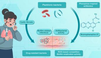 Phenazines: Natural products for microbial growth control