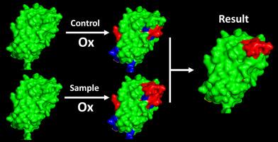 Epitope mapping of SARS-CoV-2 RBDs by hydroxyl radical protein footprinting reveals the importance of including negative antibody controls