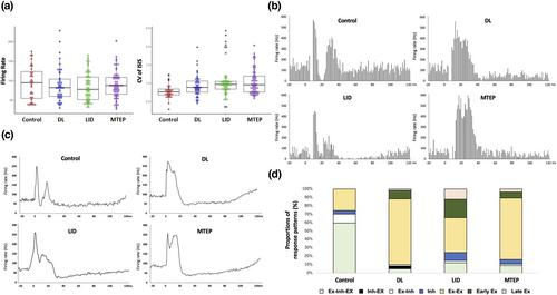 Antagonism of metabotropic glutamate receptor type 5 prevents levodopa-induced dyskinesia development in a male rat model of Parkinson's disease: Electrophysiological evidence