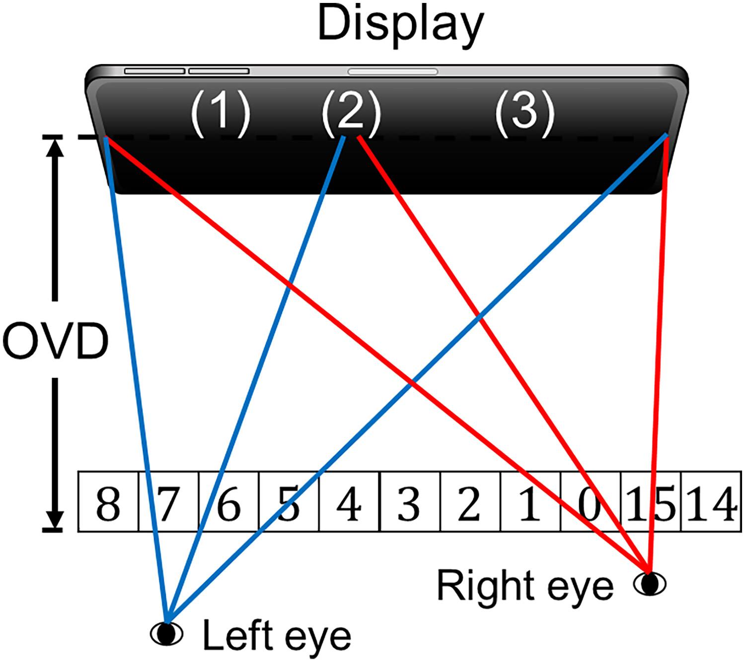 Two-view autostereoscopic display independent of differences of interocular distance and viewing condition