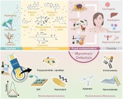 Exploring advanced functional nanomaterial-based electrochemical sensors for the detection of mycotoxins in food matrices: A comprehensive review