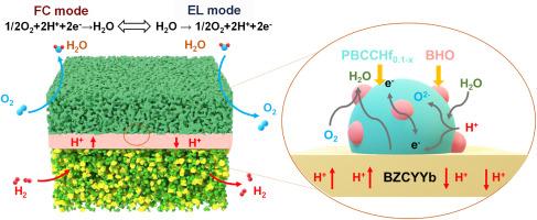 Phase engineering of a donor-doped air electrode for reversible protonic ceramic electrochemical cells