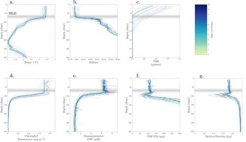 Controls on Polar Southern Ocean Deep Chlorophyll Maxima: Viewpoints From Multiple Observational Platforms