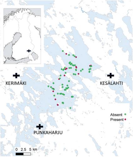 Lakeshore areas of conservation interest: Characteristics of nursery areas of the threatened lake-dwelling grayling, Thymallus thymallus