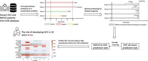 Developing deep learning-based strategies to predict the risk of hepatocellular carcinoma among patients with nonalcoholic fatty liver disease from electronic health records