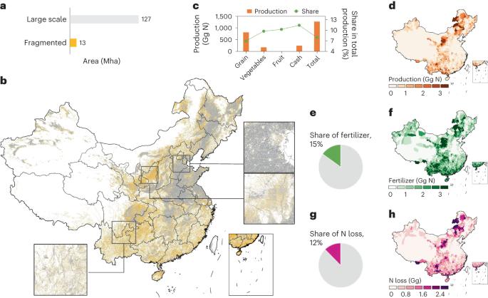 Managing fragmented croplands for environmental and economic benefits in China