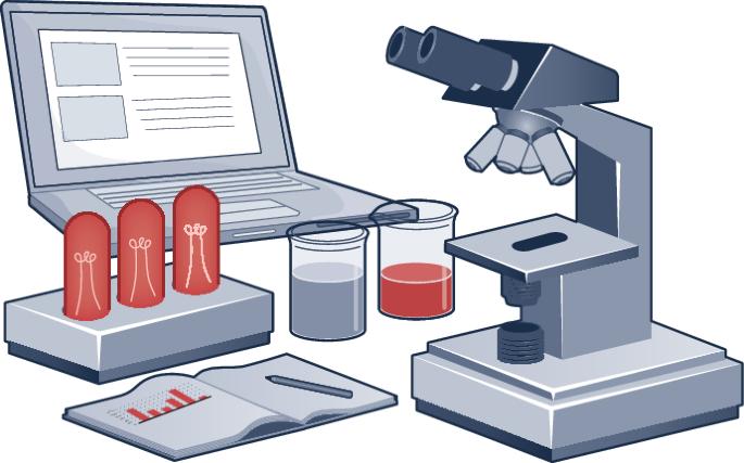 On the value of food systems research