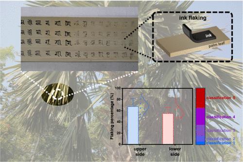 Revealing the Mechanism of Ink Flaking from Surfaces of Palm Leaves (Corypha umbraculifera)