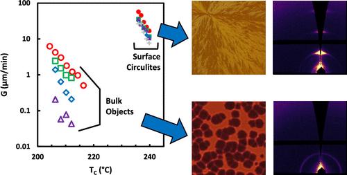 Selecting for Surface-Induced vs Bulk Crystallization in P3HT Thin Films: Distinct Morphology, Orientation, and Linear Growth Rates