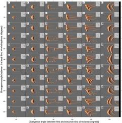 Simulations of dune morphology under tri-directional wind regimes and application to dunes on Mars