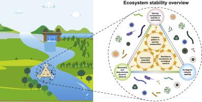 Microeukaryotic plankton community dynamics under ecological water replenishment: Insights from eDNA metabarcoding