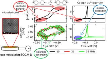 An electrochemical quartz crystal microbalance (EQCM) based on microelectrode arrays allows to distinguish between adsorption and electrodeposition†