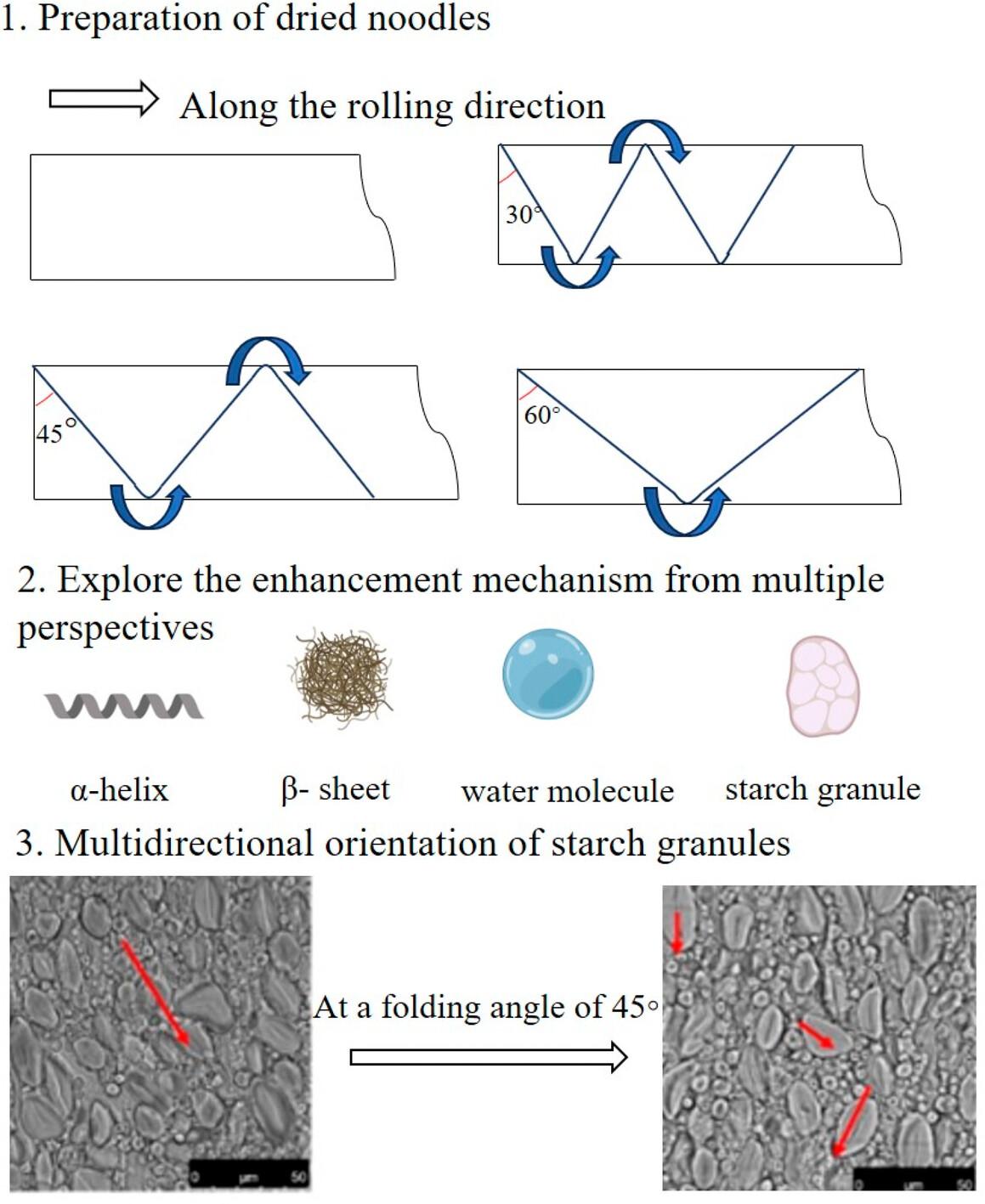 Folding during sheeting improved qualities of dried noodles through gluten network proteins