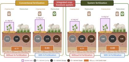 Enhancing soil quality and grain yields through fertilization strategies in integrated crop-livestock system under no-till in Brazilian Cerrado