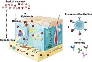 Clinical perspective on topical vaccination strategies